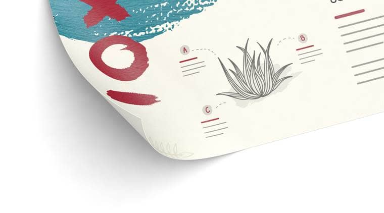 Stampa Di Cartoline Fino A 200 000 Pezzi Saxoprint
